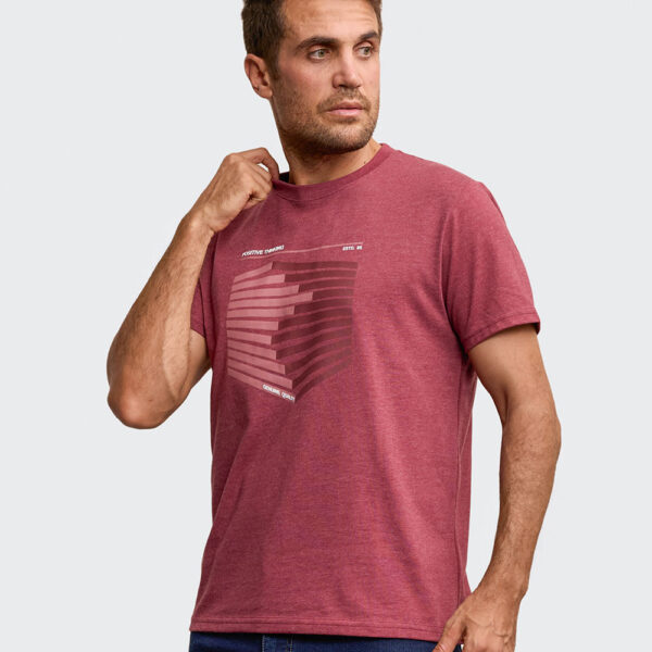 Polo Hombre Ronald Guinda Taw Poly